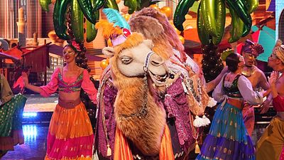 image de la news Mask Singer : quelles célébrités se cachent sous le costume du chameau ? Les hypothèses, des plus crédibles aux plus folles !
