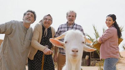 image de la news Les Bodin's au cinéma : 5 raisons qui expliquent le nouveau succès