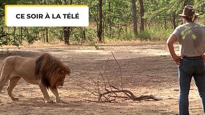 image de la news Ce soir à la télé : dans ce film, même les lions baissent les yeux devant Jean-Paul Belmondo !