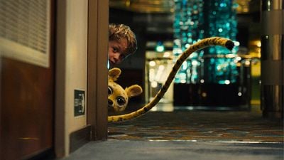 image de la news Embarquez à bord d’une croisière inoubliable aux côtés de la plus adorable des créatures