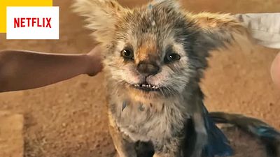 image de la news Netflix : le titre de ce film pour enfants amuse les internautes mais pas les parents