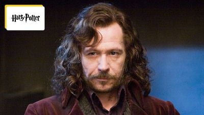 image de la news Harry Potter la série : Gary Oldman (Sirius Black) d'accord pour revenir mais à une seule condition plutôt étonnante