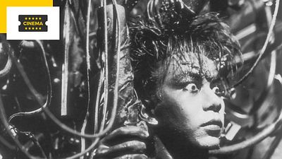 image de la news Interdit aux moins de 16 ans et encensé par Tarantino, ce chef-d'oeuvre horrifique japonais va vous secouer les tripes !