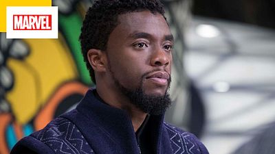 image de la news Black Panther 2 : la famille de Chadwick Boseman a participé au processus de création du film