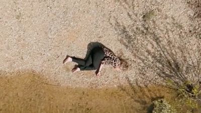 image de la news Un Si Grand Soleil en avance : résumé de l’épisode du mercredi 25 juin 2025 [SPOILERS]