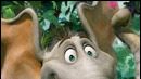image de la news "Horton" par le tandem Carrey / Carell