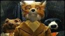 Le "Fantastic Mister Fox" de Wes Anderson : bande-annonce !