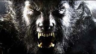 Un reboot pour "Wolfman" ?