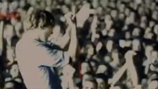 image de la news La bande-annonce d'un docu sur le groupe Phoenix [VIDEO]