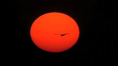 image de la news 135 plans qui vont vous réconcilier avec le cinéma ! [VIDEO]