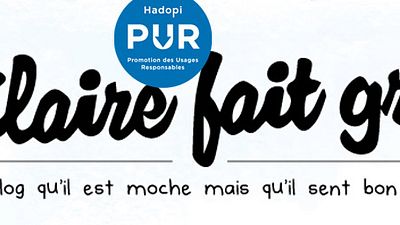 image de la news Une blogueuse met à jour les dysfonctionnements du téléchargement légal