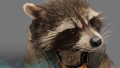 image de la news Les Gardiens de la Galaxie : on entend enfin la voix de Rocket Racoon ! [VIDEO]