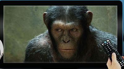 image de la news Ce soir à la télé : on mate "La Planète des singes : les origines", on zappe "Promotion canapé"