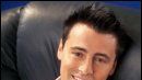 image de la news "Joey" est bien seul