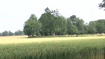 image de la news Bande-annonce Le Paradis : Alain Cavalier renoue avec le documentaire expérimental