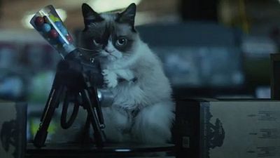image de la news Grumpy Cat, le film : une première bande-annonce pour le chat le plus célèbre d'Internet !