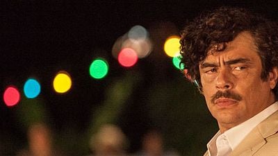 image de la news Après Paradise Lost, Benicio del Toro pris au piège d'Harmony Korine