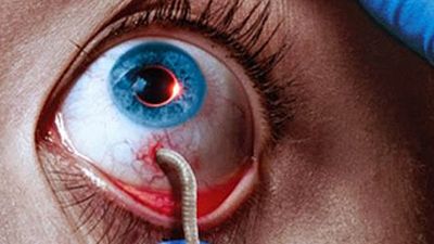 image de la news The Strain : le teaser de la saison 2 annonce le combat de la civilisation
