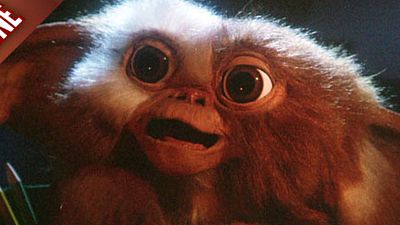 image de la news FanZone 391 : Gizmo, le retour ! 