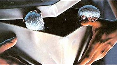 image de la news Nouveau Gremlins : ce sera SANS Joe Dante... qui en profite pour tacler les remakes !