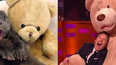 image de la news Benedict Cumberbatch, acteur et imitateur de loutres