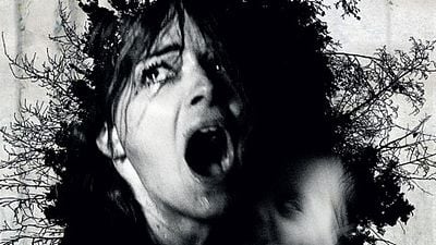 image de la news Le Sanctuaire : une bande-annonce a vous faire frissonner d'angoisse !