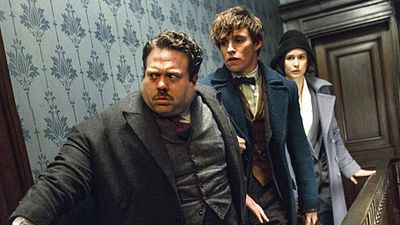 image de la news Les Animaux fantastiques: des personnages d'Harry Potter feront une apparition !