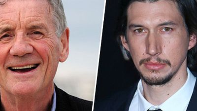 image de la news Après Star Wars, Adam Driver dans le Don Quichotte de Gilliam [MISE A JOUR]
