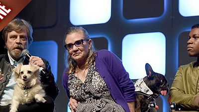 image de la news FanZone 634 : Star Wars tu célèbreras