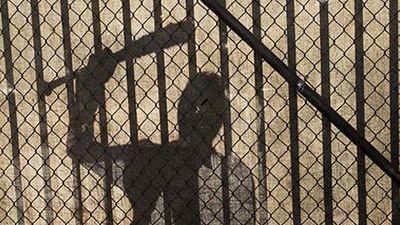 image de la news The Walking Dead S7 : la révélation de l'épisode 4 décryptée [SPOILERS]