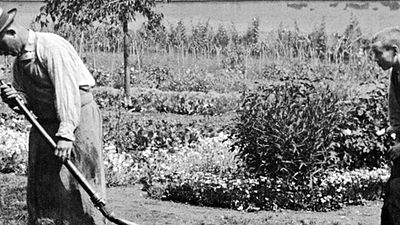 image de la news La La Land, Resident Evil, Tous en scène... Les sorties de la semaine !