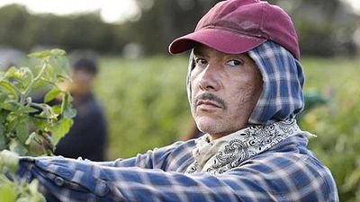 image de la news Audiences US : pire score historique pour American Crime