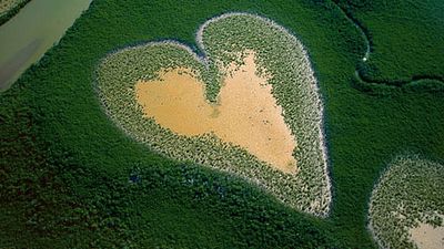 image de la news Cinéma & Environnement : 10 films à (re)voir d'urgence