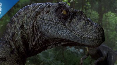 image de la news The Big Fan Theory : Y a-t-il vraiment des dinosaures à "Jurassic Park" ?