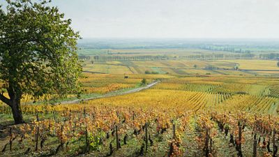 image de la news Quels films ont été tournés dans votre région ?