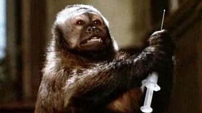 image de la news Journée Mondiale des animaux dans les laboratoires : 3 films autour du sujet