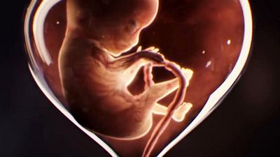 image de la news American Horror Story : un premier teaser macabre pour la saison 8