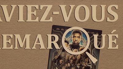 image de la news Aviez-vous remarqué ? Les petits détails cachés de Black Panther