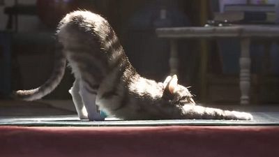 image de la news Toy Story 4 : Woody, Buzz, la Bergère et les autres face à un nouvel ennemi ?