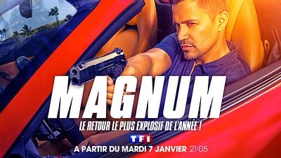 image de la news Séries et films sur TF1 en janvier : Magnum, Peur sur le lac, Split...