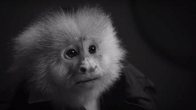 image de la news Netflix : David Lynch dévoile un court métrage complètement fou