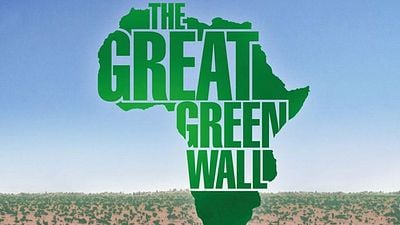 image de la news The Great Green Wall : un mur d'arbres de 8000 km et un documentaire écologique et musical au Sahel