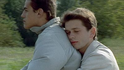 image de la news Les Roseaux sauvages sur Arte : l'adolescence vue par André Téchiné à (re)découvrir