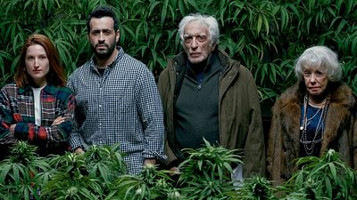 image de la news Family Business sur Netflix : une saison 3 pour la comédie avec Jonathan Cohen