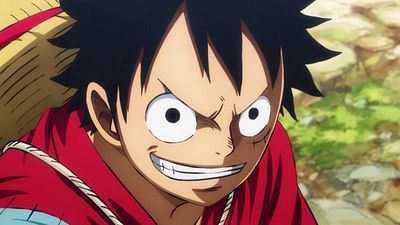 image de la news One Piece sur ADN : un personnage emblématique du manga a fait ses grands débuts dans la série animée