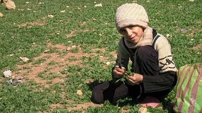 image de la news Little Palestine, terrible plongée en apnée au coeur d'un siège durant la guerre en Syrie