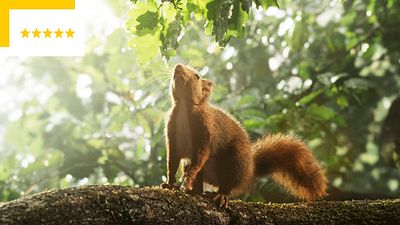 image de la news Sorties cinéma du 23 février : quels sont les meilleurs films de la semaine ?