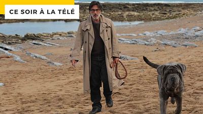 image de la news Mon chien stupide : l'Inspecteur Columbo aurait pu tenir le rôle d'Yvan Attal !