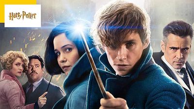 image de la news Harry Potter : ce personnage des Animaux fantastiques supprimé de la saga ?