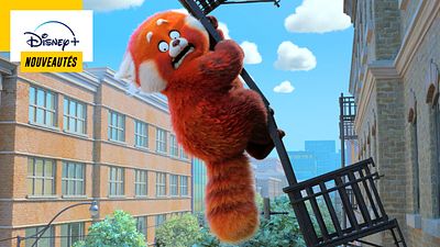 image de la news Alerte Rouge sur Disney+ : découvrez tous les visages et émotions du Panda roux !